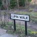 Lupin Walk in Nuneaton city