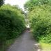 Public footpath (east of Bermuda Industrial Estate) in Nuneaton city
