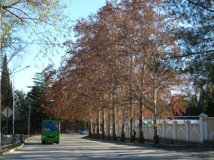 http://photos.wikimapia.org/p/ot2/00/00/02/44/43_big.jpg