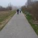 Ścieżka rowerowa in Kołobrzeg city