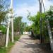 Iona Iachir st. in Cricova city