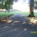 Riversley Park footpath (at the side of the triangular flowerbed) in Nuneaton city