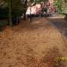Upper New Walk in Leicester city