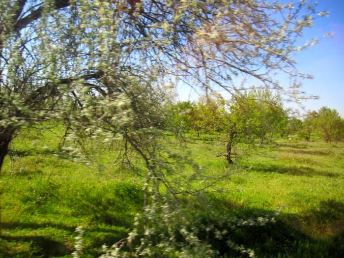 Usak Burdur Yolu D625