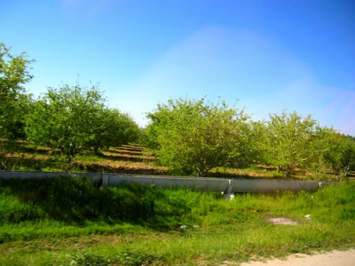 Usak Burdur Yolu D625