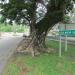 Sabah College Road in Kota Kinabalu city