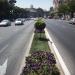 Calle de Alcalá en la ciudad de Madrid