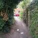 Public Footpath (off Radley Drive, leading to and from Staff Car Park No.2 of the George Eliot Hospital) in Nuneaton city