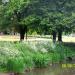 Riversley Park footpath (circular flowerbed) in Nuneaton city