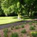 Riversley Park footpath (at the side of the triangular flowerbed) in Nuneaton city