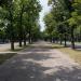 Европейская ул. в городе Бердичев