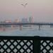 AlAhrar Bridge in Baghdad City city