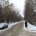 Красная ул. в городе Ижевск