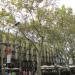 La Rambla en la ciudad de Barcelona