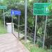 Jungle Trek To Signal Hill Observatory in Kota Kinabalu city