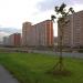 просп. Защитников Москвы в городе Люберцы