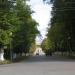Аллея Императора Павла I в городе Гатчина