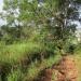 Likas Ridge Hiking Trail in Kota Kinabalu city