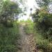 Likas Ridge Hiking Trail in Kota Kinabalu city