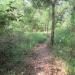 Likas Ridge Hiking Trail in Kota Kinabalu city