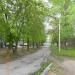 ул. Ленина в городе Остров