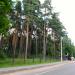Степаньковское шоссе в городе Правдинский