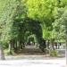 Finstere Allee в городе Вена
