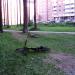 Тропа Здоровья в городе Берёзовский