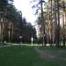Тропа Здоровья в городе Берёзовский