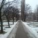 Прогулочная дорожка в городе Лисичанск