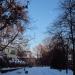 ул.  Великого Кобзаря в городе Кривой Рог