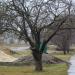ул. Чапаева в городе Дивное