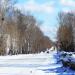 просп. Серова в городе Серов