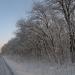 Дачное шоссе в городе Новосибирск