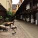 ul. Jatki in Wrocław city