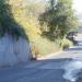 ул. Пятницкого в городе Воронеж