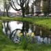 Wilhelminapark in Utrecht city