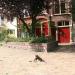 Wolvenstraat in Utrecht city