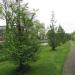 Kastelenplantsoen in Utrecht city