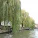 Lievekaai in Ghent city