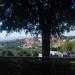 Viale Francesco Puccinotti (es) in Macerata city