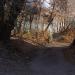 ул. Максима Горького в городе Воронеж