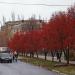 ул. Сибирцева в городе Бахмут