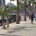 Pattaya Sai Nueng or Pattaya Beach Road in Pattaya City city