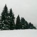 Эспланада в городе Ульяновск