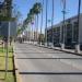 Paseo Morelos. en la ciudad de Torreón