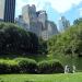 Central Park Footpaths in New York City, New York city
