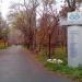 Аллея мира в городе Челябинск