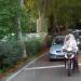 Viale Michelangiolo (it) in Florence city