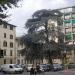 Viale Giacomo Matteotti (it) in Florence city